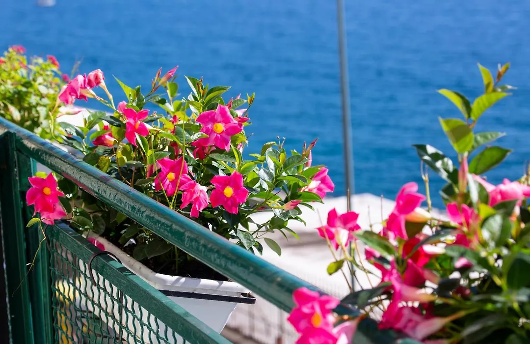 Residenza sul mare 2-1